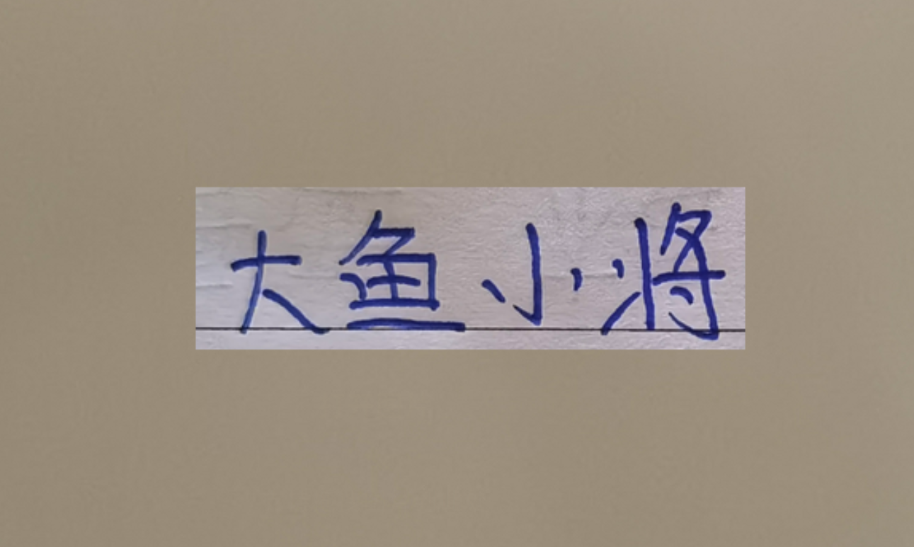 九游娱乐-超级杯海港新大鱼 带球和突破不亚于巴尔加斯！